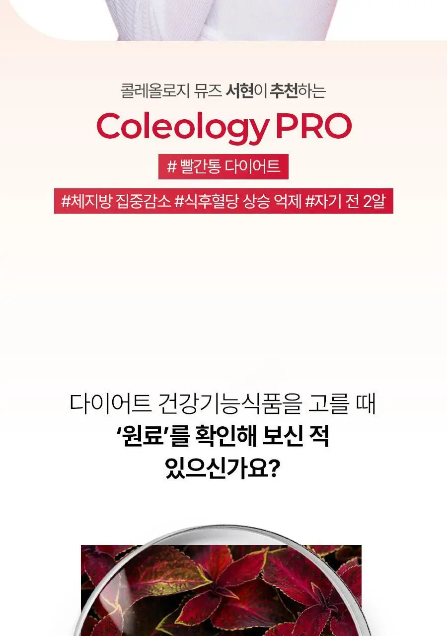 [헬로키티콜라보] 콜레올로지 PRO 600mg*30/60정 단품/기획(+키링증정) 상세페이지 23